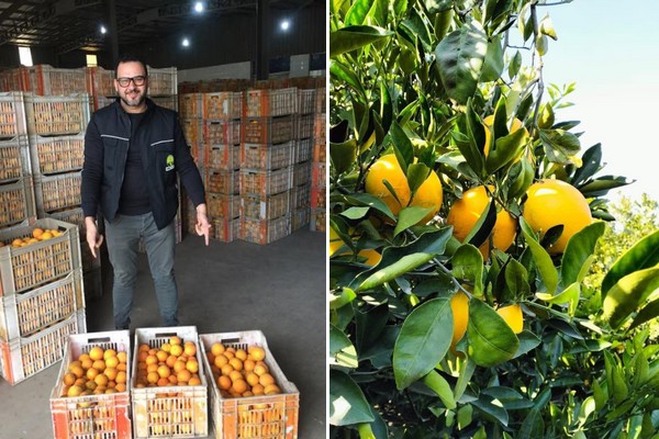More growth expected for orange exports to Europe - Vimarsana News
