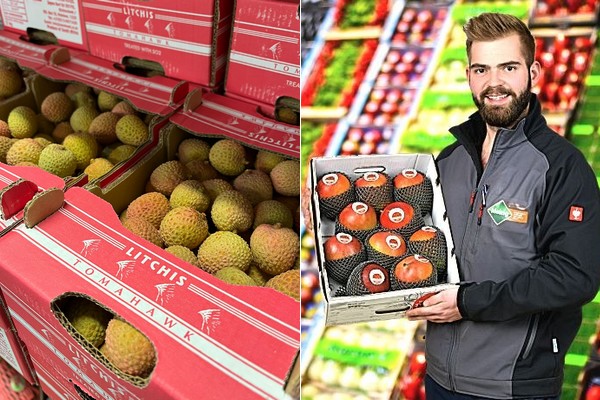 "We expect the first lychees to arrive in a few days" - Vimarsana News