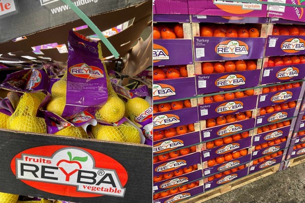 'So far, we can look back on a pleasing Turkish citrus season' - Vimarsana News