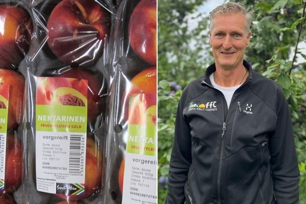 Stormwind in Kaapstad zorgt voor golfgewijze aankomsten steenfruit