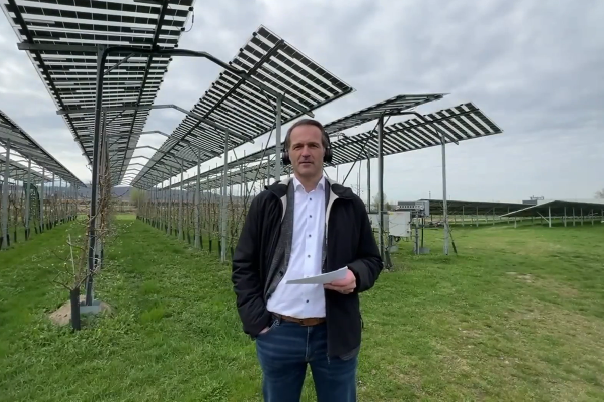 Mogelijkheden van Agri-PV in de fruitteelt