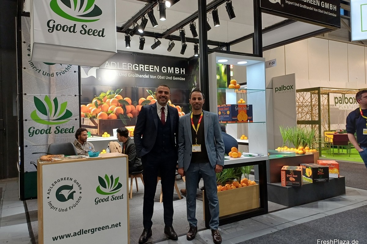 "Tekort aan Egyptische Valencia's drijft prijzen op"