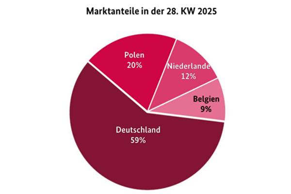 'Dutch and Belgian strawberries were completely absent from the Hamburg wholesale market'