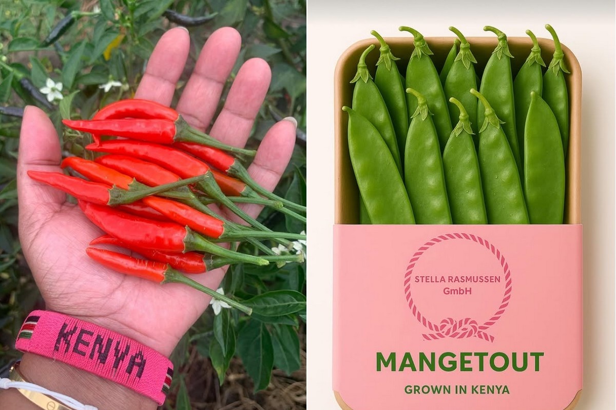 "Stabiel aanbod en goede kwaliteit aan het begin van het kerstseizoen"