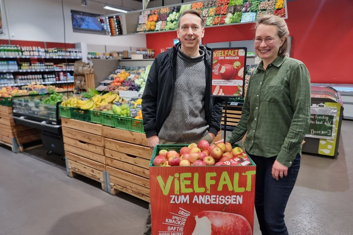 Mammut, Estelle en Ellipso: de bio-appelrassen van de toekomst?