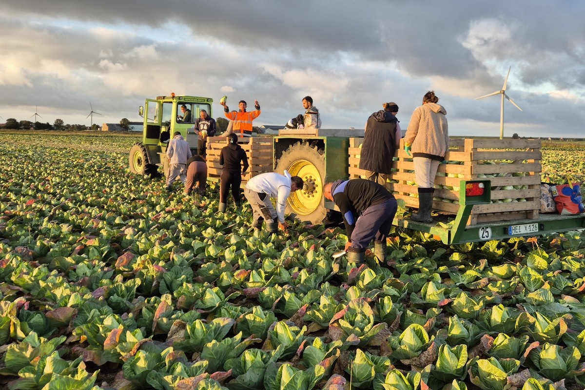 Lage koolprijzen houden aan ondanks redelijke retailafzet