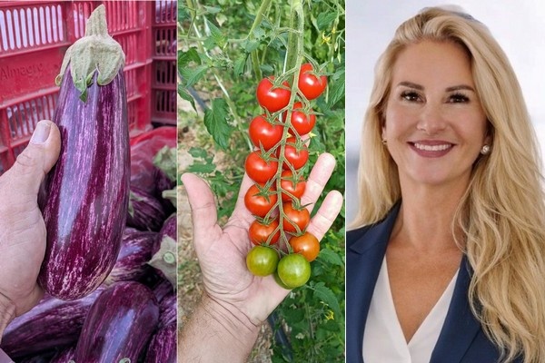 "Actief bijdragen aan de verdere ontwikkeling van de Spaanse tuinbouw"