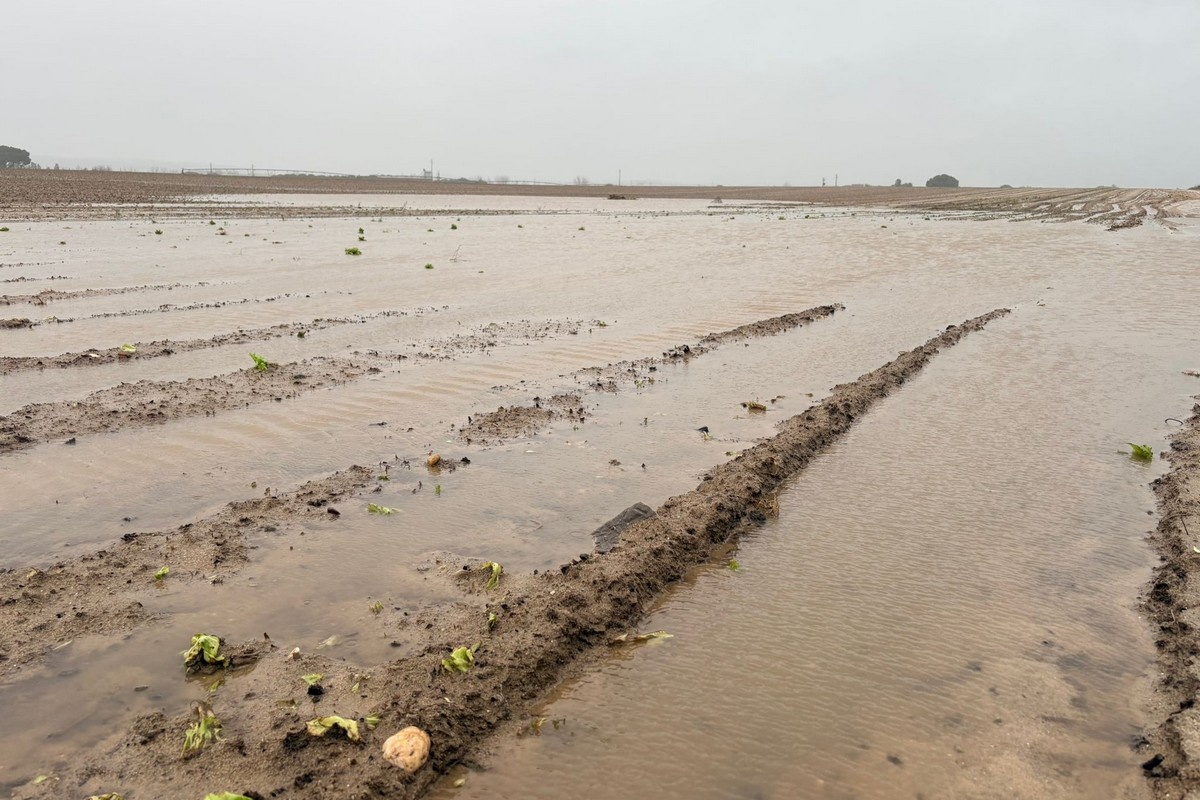 "We hebben al opbrengstverliezen moeten incasseren"
