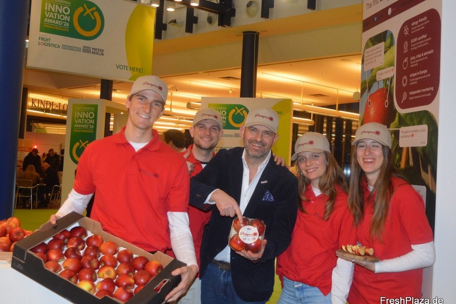 Новый сорт яблок Pompur: решение для аллергиков и фермеров