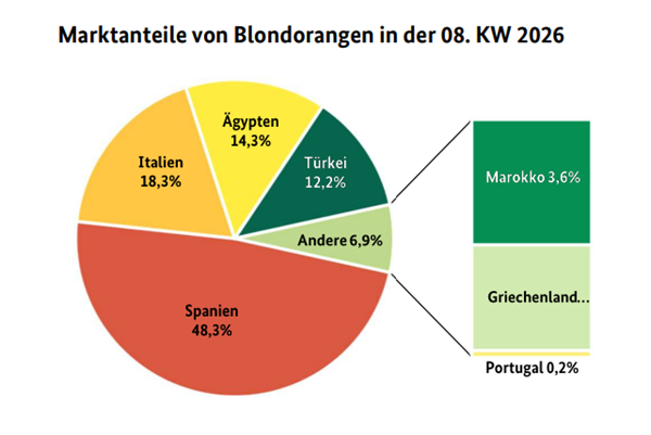 Spanje domineert citrusmarkt in Duitsland, Egypte vergroot Valencia Late-aanvoer