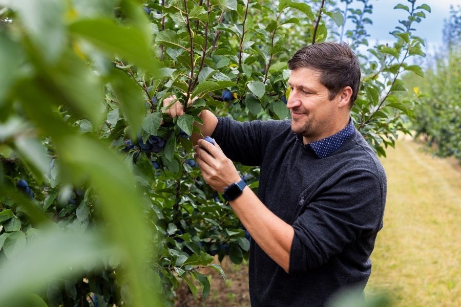 Hochhaus en Obst vom Bodensee bundelen krachten in afzet en verpakken van steenfruit