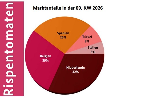 Tomatenprijzen dalen ondanks lenteweer en stijgende vraag
