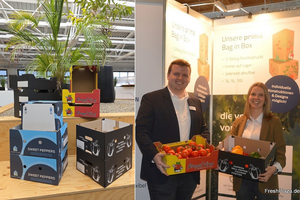 Strengere verpakkingswetgeving vergroot vraag naar recyclebaar golfkarton in AGF