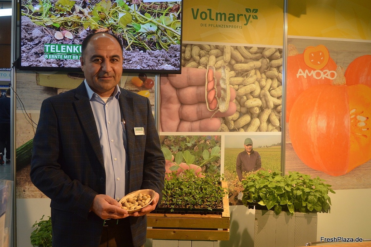 “Groeiende vraag naar pindaplanten in de DACH-regio”