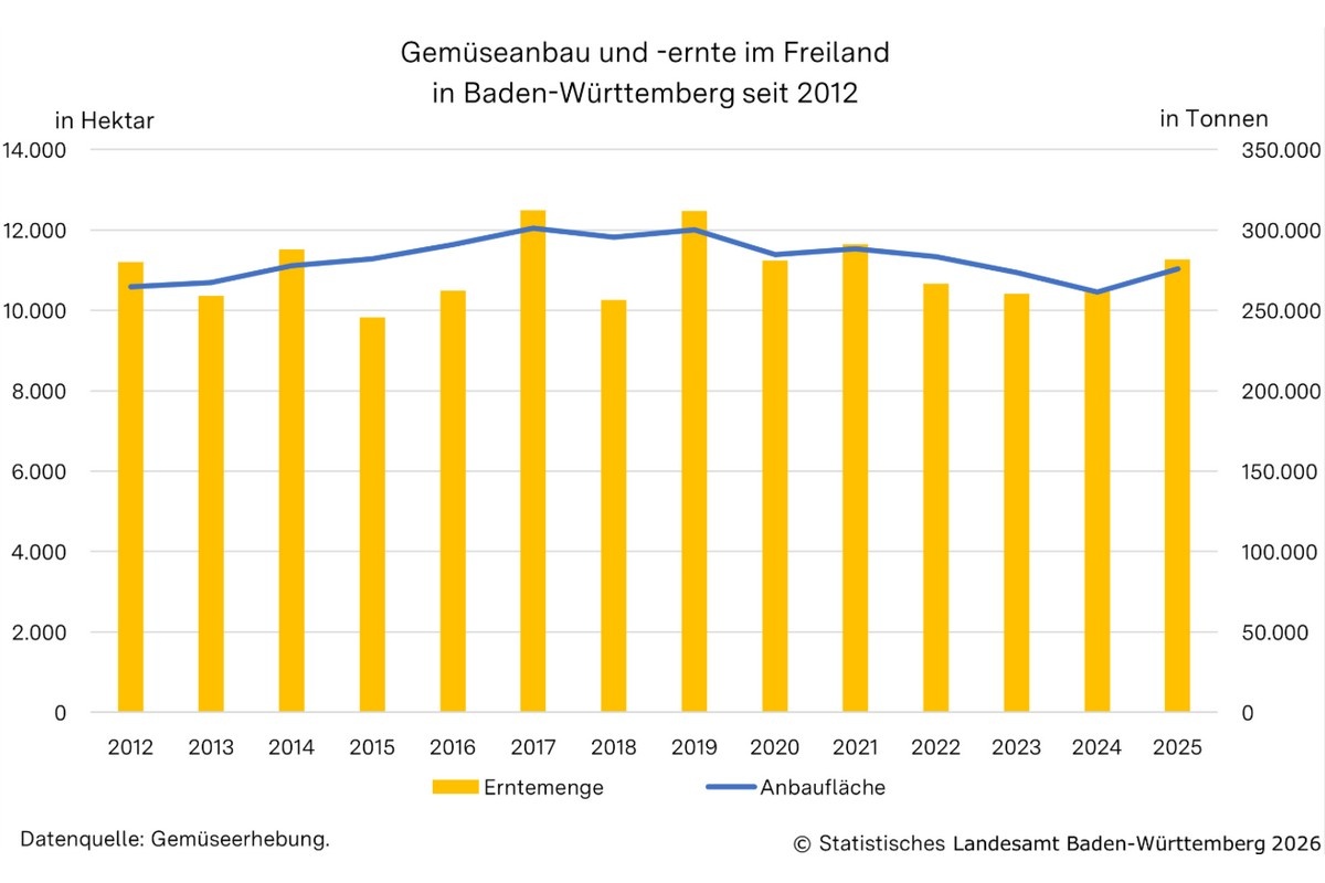 Bovengemiddelde oogst witte en rode kool