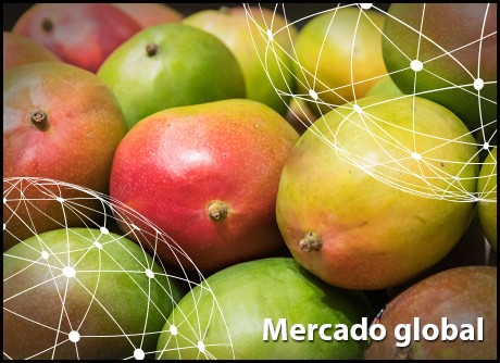 Resumen Del Mercado Global Del Mango