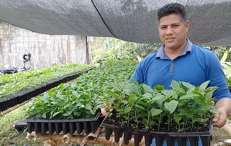 Ecuador La Maracuya Organica Una Salida Para Los Afectados Por