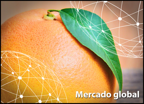 Resumen Del Mercado Global Del Pomelo