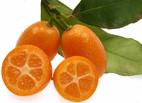 Resultado de imagen de kumquat