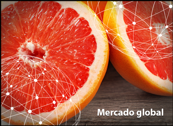 Resumen Del Mercado Global Del Pomelo