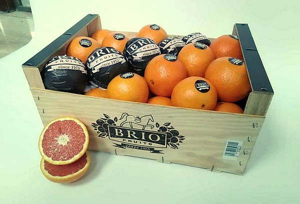 Lower temperatures and Christmas season expected to give a boost to citrus demand - Vimarsana News