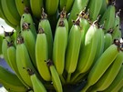 Del Monte, Chiquita, and Dole offer to pay up to an additional $2 per box of bananas - Vimarsana News