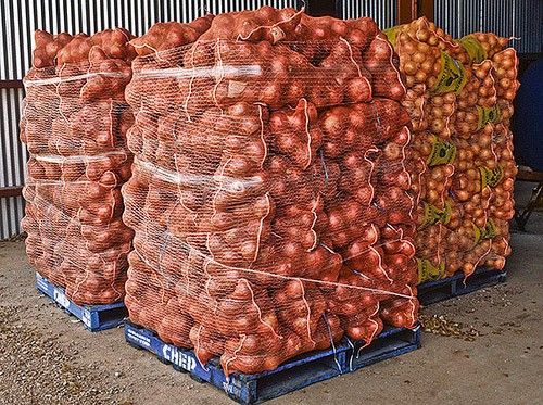Sale of large Spanish onions has ground almost to a complete halt - Vimarsana News