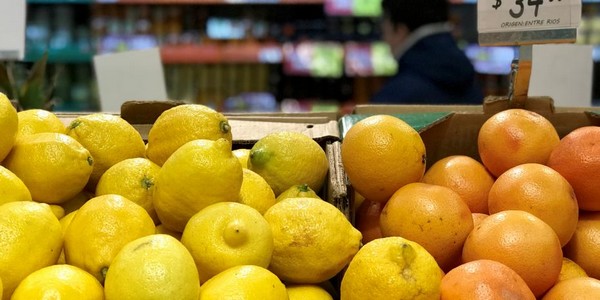 Lemon and grapefruit campaign hurdled by increased production and falling demand - Vimarsana News