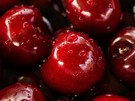 The first maritime shipment of Chilean cherries arrives in China - Vimarsana News