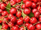 32 ships with Chilean cherries will arrive at the main Chinese ports until February 16 - Vimarsana News