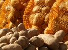 Potato prices in Brazil fall due to an increase in supply and quality problems - Vimarsana News