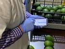 Mexico's fruit strengthens its commercial relations with Europe - Vimarsana News
