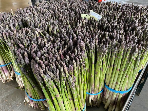 Nous Prevoyons Une Augmentation De L Offre D Asperges Vertes De 5 A 10