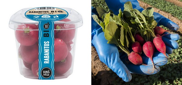 Bio vegetable packaging made with plastic recovered from the sea - Vimarsana News