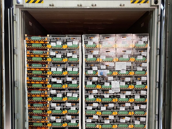 Anecoop opens trade channel with Peru by shipping first container of oranges from Spain - Vimarsana News