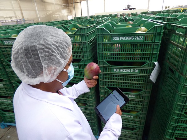 Fairtrasa implements 'lean manufacturing' and digitalization tools for its operations with family farming in Peru - Vimarsana News