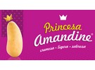 The Princesa Amandine potato was awarded the Flavor of the Year 2022 award - Vimarsana News
