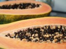 Colombian producers in Antioquia might be able to grow the UN Cotové papaya variety once again - Vimarsana News