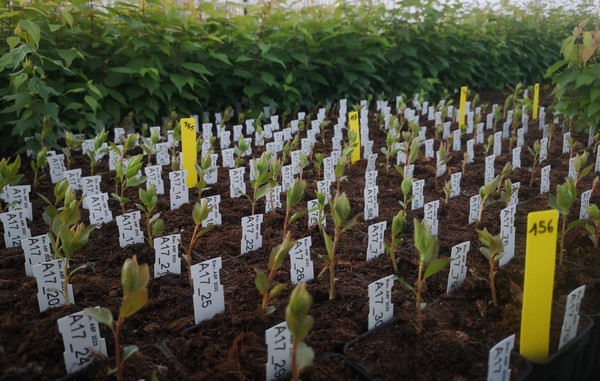 "The consumer has been and continues to be the key to our R&D process" - Vimarsana News