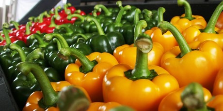 "We've launched the only solution to improve the shelf life of peppers in the market" - Vimarsana News
