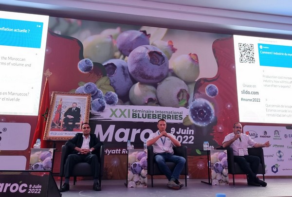International blueberry industry to meet in Agadir in September - Vimarsana News