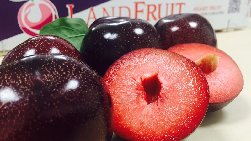 "Plum prices could rise from now on, in the second part of the campaign" - Vimarsana News