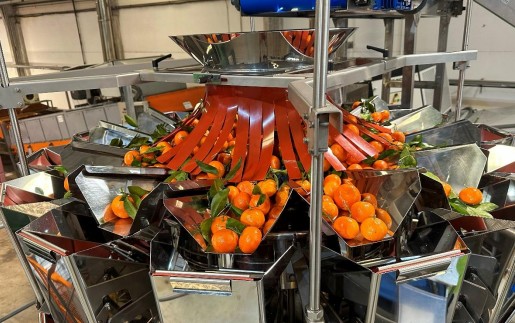 Tow companies merge to create a family-owned citrus giant - Vimarsana News