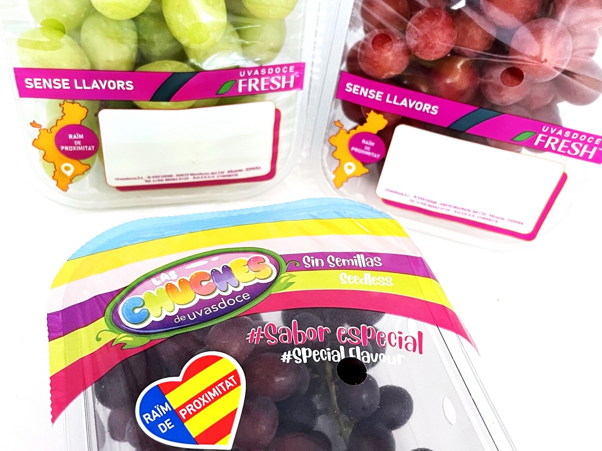 Alicante's grape campaign started earlier than usual and with very good quality fruits - Vimarsana News