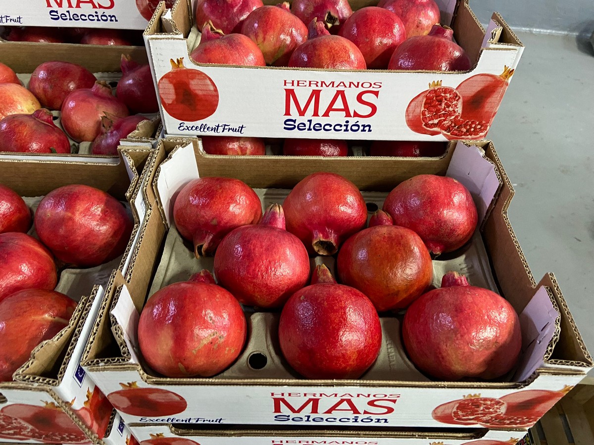 "Despite a lack of large sizes, there's a high demand for pomegranates, driven by an empty market" - Vimarsana News