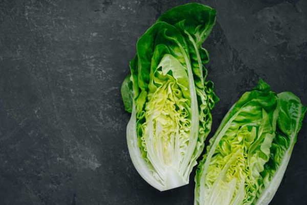"The low prices of Iceberg lettuce are currently affecting those of other kinds of lettuce" - Vimarsana News
