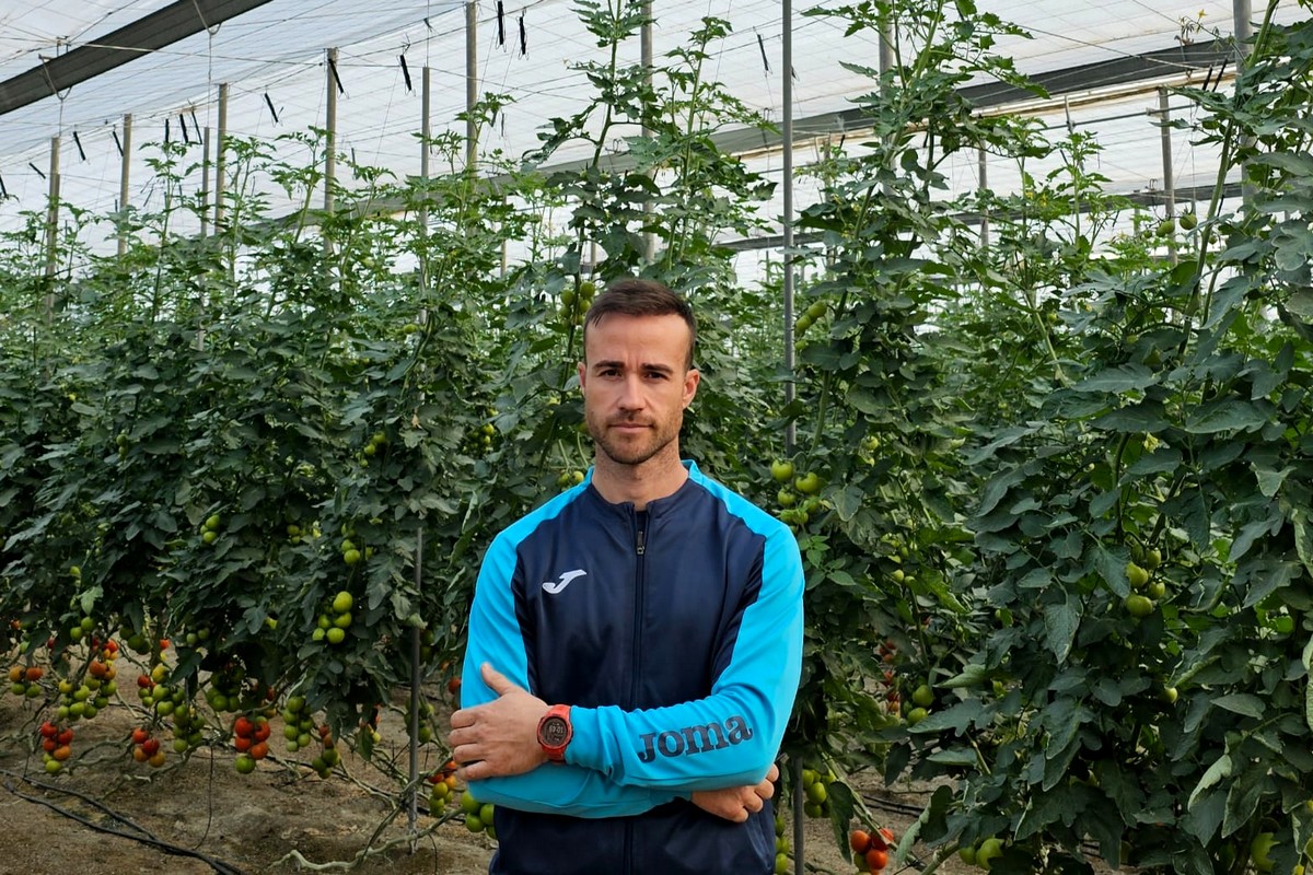 "There are tomato greenhouses in La Cañada which are not yet in production at this time" - Vimarsana News