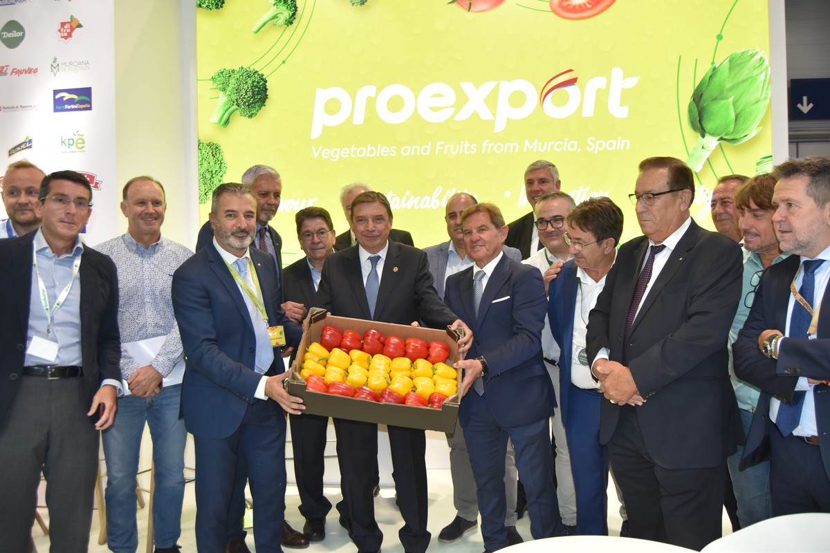 2023 closed with lower Spanish fruit and vegetable export volumes, but an increase in value - Vimarsana News