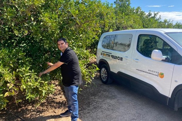 Transition from the first to the second part of the Spanish citrus season underway - Vimarsana News