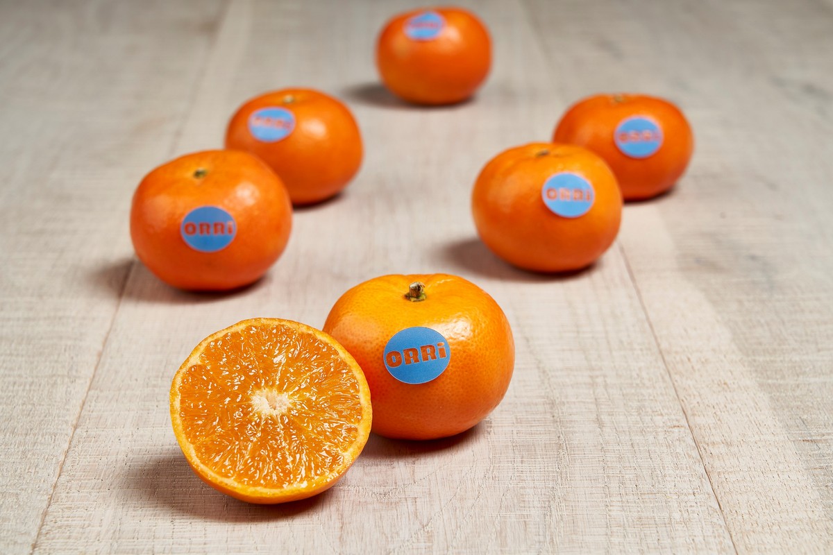 Spanish Orri mandarin production will be 30% greater than last year - Vimarsana News